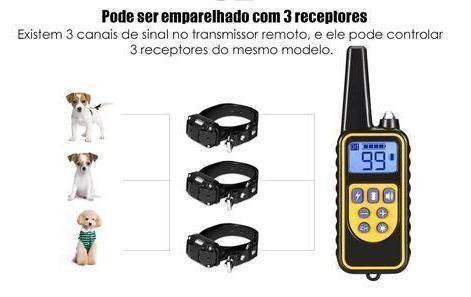 Coleira de Choque Adestramento para cães - 800 Metros de Alcance - TUDO QUE EU SONHEI